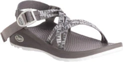 Chaco Women's Z/Cloud X -Fashion Shoes Store chaco womens z cloud x echo paloma j106608 54061.1647288280