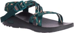 Chaco Women's Z/Cloud X -Fashion Shoes Store chaco womens z cloud x warren pine jch107986 41418.1647288280