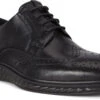 ECCO Men's ST.1 Hybrid Lite Wingtip Brogue -Fashion Shoes Store ecco mens st 1 hybrid lite wingtip brogue black 83720411001 24715.1597881417