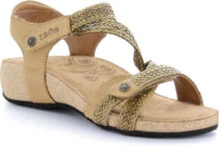 Taos Trulie -Fashion Shoes Store taos women trulie camel tru 16406 cml 79327.1682088053