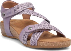 Taos Trulie -Fashion Shoes Store taos womens trulie lavender tru 16406 lav 38548.1682088054